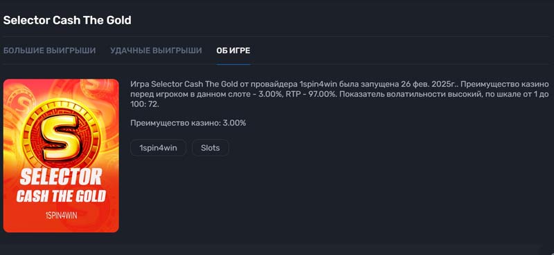 Описание слота